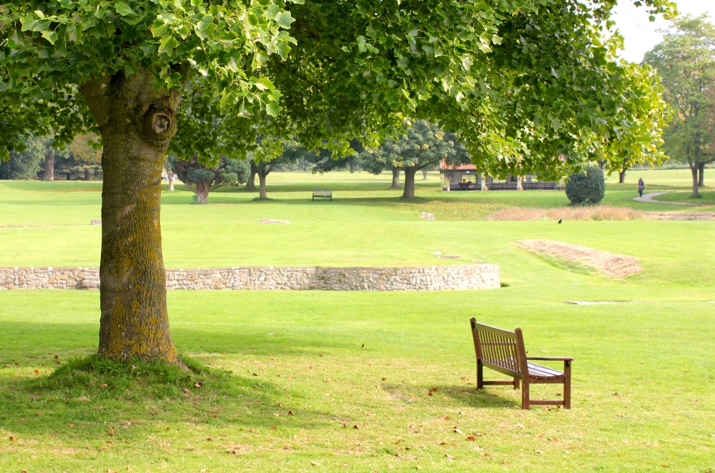 main office being in claredon park